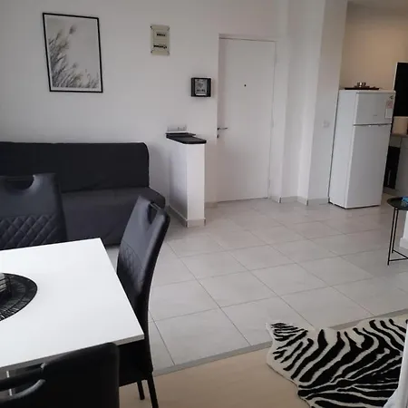 Apartament La Epava Costineşti